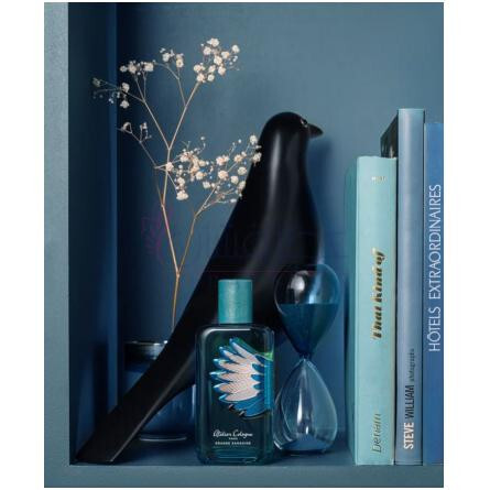 Orange Sanguine Love Birds Collector-آتلیه کلن اورنج سنگوئین لاو بردز کالکتور