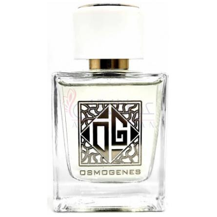 City, Moscow, Липа-اوسموجینز پرفیومز سیتی مسکو