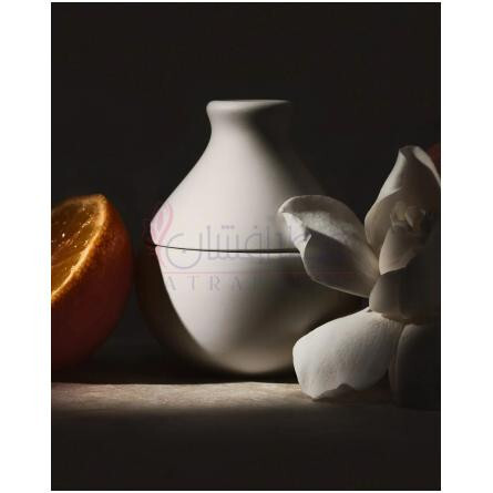 Iconic Gardenia-کی کی دبلیو فرگرنس ایکونیک گاردنیا