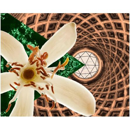 Megaflower-هرمتیکا مگا فلاور