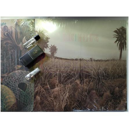 Nuit De Sable-بی دی کی پارفومز نویت دی سبل