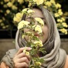 Narges t