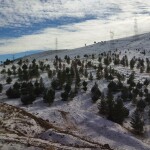 افشین افشار