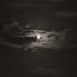 Hossein