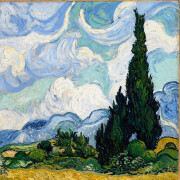 Cypress