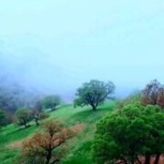 Mohsen96