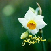 حسین علی جانی