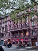 نسرین محمدی