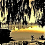 یعقوبیان اشکان