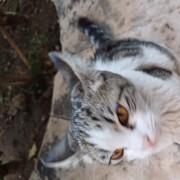 کیومرث