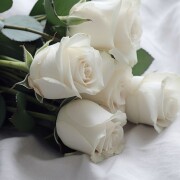 سونیا خداپرست