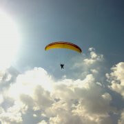 مجید بشردوست کاشانی