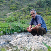 محمد حسن نحوی