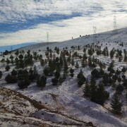 افشین افشار