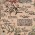 Tlks
