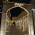 حسین رفیعی حسین رفیعی