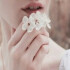 Donya.s