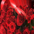 زهرا زمانی