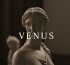 ونوس
