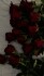 فاطمه کرامتی